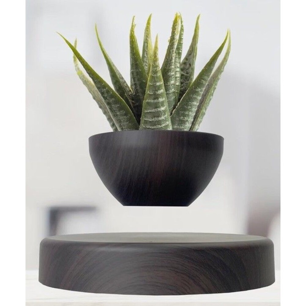 Magnetic Floating Pot Plant Dark Brown